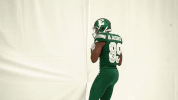 emueagles emufootball GIF by EMU Athletics