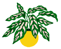 Earthweek Sticker by Apartment Therapy