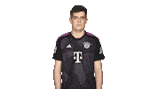 Fc Bayern Sticker by Bundesliga
