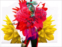 flower blossom. GIF by Angieluxd