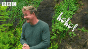 laugh laughing GIF by CBBC