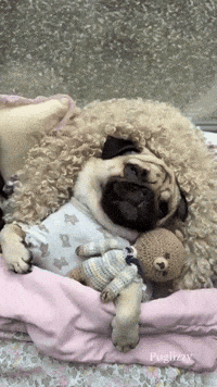Sleepy Do Not Disturb GIF