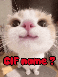 Cat Help GIF