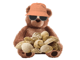 Teddy Bears Summer Sticker