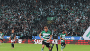 Football Sport GIF by Sporting CP