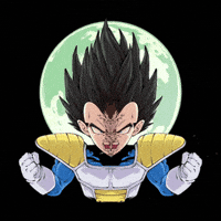 vegeta dmtx GIF