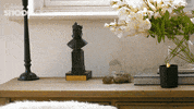 Channel 4 Dogs GIF by Stellify Media