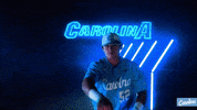 North Carolina Baseball GIF by UNC Tar Heels