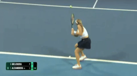 kareljedlika giphyupload GIF