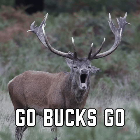 Go Bucks Go