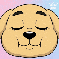 Drifting Close-Up GIF by Buddies for Paws