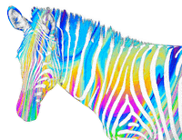 Rainbow Zebra Sticker by Discovery