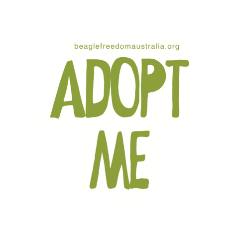 BeagleFreedomAustralia love cat dog rescue Sticker