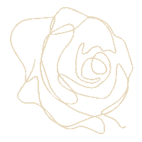 bedofrosessilk white flowers bed roses Sticker