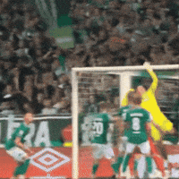Werder Bremen GIF
