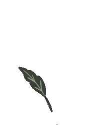 Flowers Love Sticker by Fertility Support SG