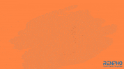 Fitness Health GIF by RENPHO