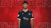 Karlsruher Sc Vbl GIF by Bundesliga