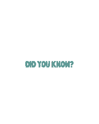 Mahalo Did You Know Sticker by mahalo eco blinds