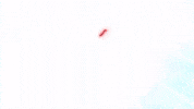 Emerging Pokemon Anime GIF by Pokémon