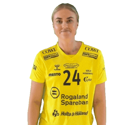 Sola Rema1000Ligaen Sticker by Norsk Topphåndball