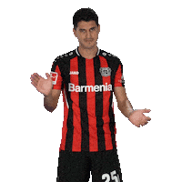 Sarcastic Sarcasm Sticker by Bayer 04 Leverkusen