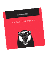 lumiacoffee coffee bobo kuwait reem Sticker