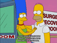 homer simpson GIF