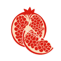 jasminekaramzadeh persian pomegranate nowruz norooz Sticker