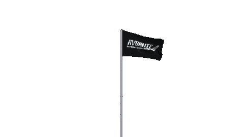Ufc Aerodesign Sticker by Avoante