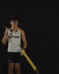 Pole Vault GIF by Purdue Fort Wayne Athletics