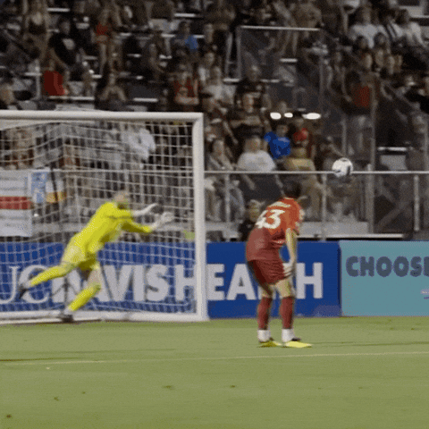 Footballer Goal Keeper GIF by Diaza Football