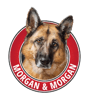 german shepherd forthegifs Sticker by Morgan & Morgan