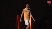 Cuc GIF by CUCougars
