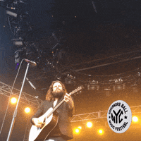 father john misty governors ball GIF by GOVBALL NYC