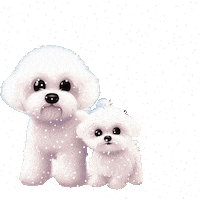 Merry Christmas Dog Sticker by HammyandBrody