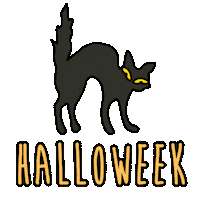 cat halloween Sticker by Experienceis