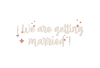 ecanales wedding married boda getting married Sticker