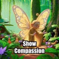 Life Compassion GIF by BuddhaFlyJourney