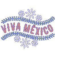 Viva Mexico Sticker