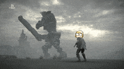 nicozalazar  GIF