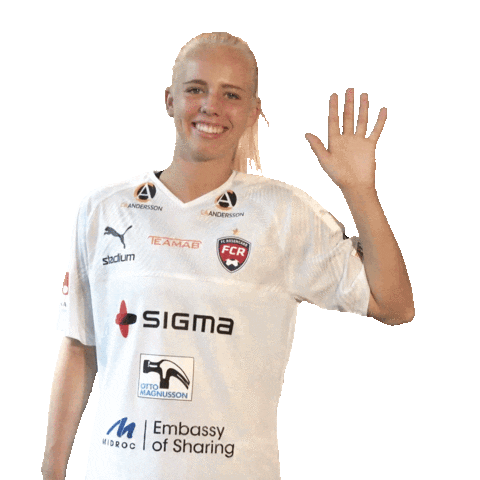 fcrosengard giphyupload football soccer hello Sticker