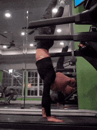 Nellgrabowski GIF
