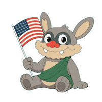 American Usa Sticker