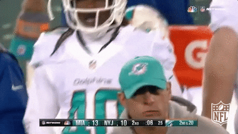 Miami Dolphins No GIF by NFL