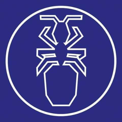 sf_su_se giphygifmaker myra stockholms universitet samhllsvetenskapliga freningen GIF
