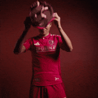South Korea Stl GIF by St. Louis CITY SC
