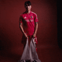 South Korea Stl GIF by St. Louis CITY SC