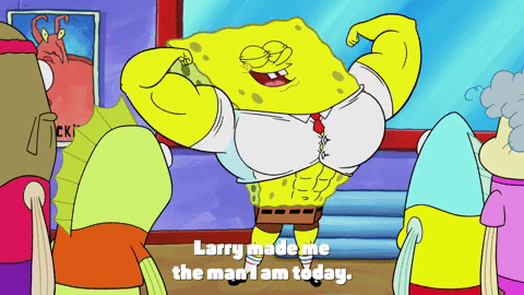 season 9 GIF by SpongeBob SquarePants