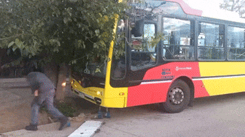 Robbery and Assault on Bus Driver Lead to Crash in Argentina
